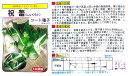 【その他の菜類】祝蕾〔大和農園種苗販売部〕/コート小袋〔50粒〕