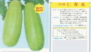 【シロウリ】滋賀の伝統野菜シリーズ　仁保瓜（にぼうり）〔固定種（太田）〕/小袋（50粒） 1