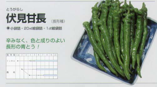 【トウガラシ】伏見甘長〔固定種〕/小袋