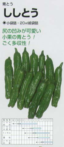 【トウガラシ】ししとう〔固定種〕/小袋（135粒）のサムネイル