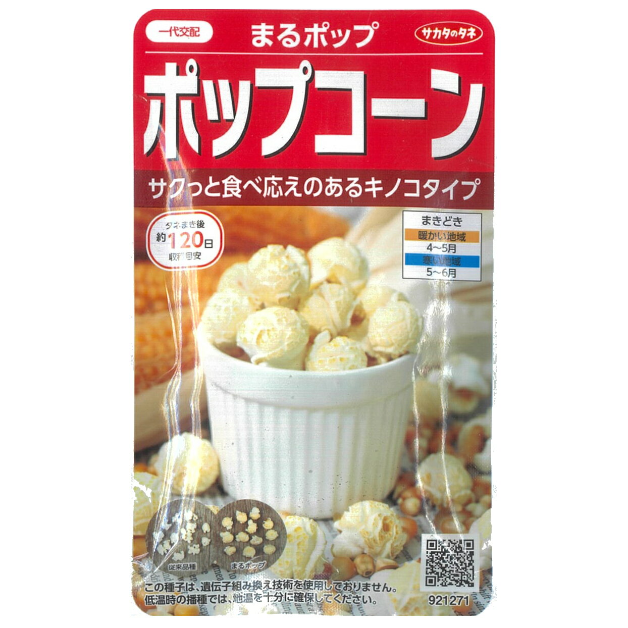 【トウモロコシ】まるポップ〔一代交配・サカタ〕/小袋（20ml）のサムネイル