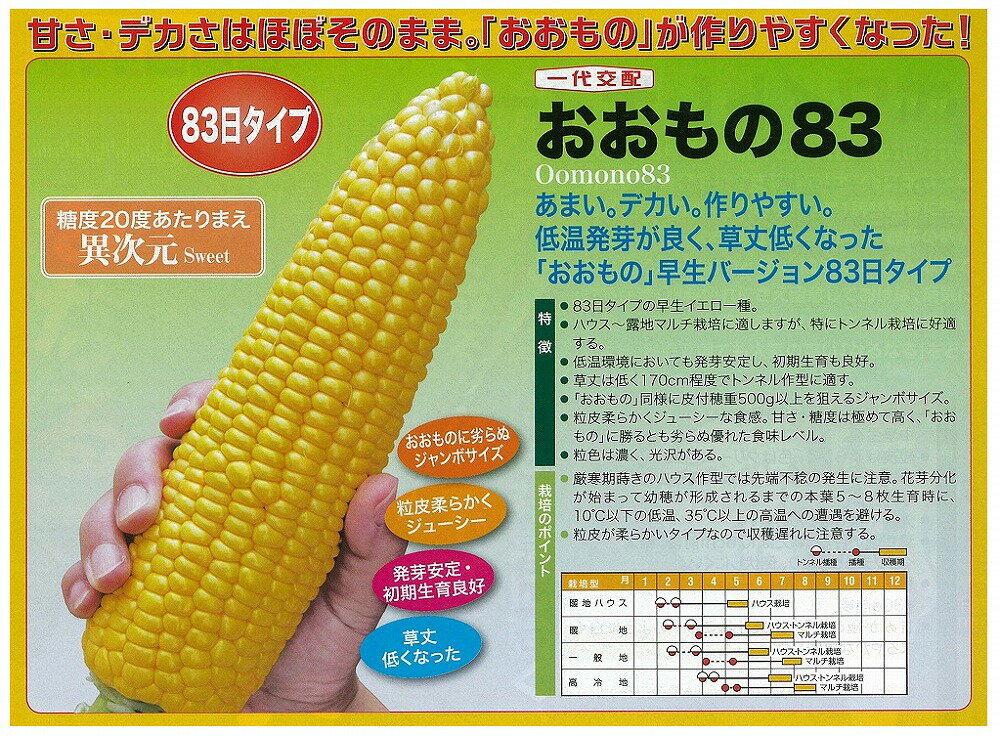 �ڥȥ���������ۤ������83�̰�����ۡ��ʥ�ȡ�/����(55γ)