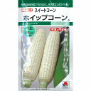 極良質で甘さ際立つ、栽培生の高い中生ホワイト種！【特性】●糖度が20度に達することがあるほど甘味が極めて強いホワイト種。白粒の外観と食味でアピールできる。●粒皮はやわらかく光沢がありしなびにくい。●草丈は170cm程度で倒伏に強く栽培容易。【ホワイト種を上手に作るための注意点】●キセニア対策：ホワイト種にイエロー種やバイカラー種の花粉が受粉すると、黄色の粒が混ざってしまい商品価値を落としてしまいます。これを「キセニア」と呼び、これらの花粉の受粉を防ぐために、風媒花であるスイートコーンでは、300m以上隔離するか、開花時期を2週間ほどずらして栽培することで対策します。●収穫判定：おおよその収穫の目安は絹糸抽出後25日ごろですが、ホワイト種はイエロー種と比べ収穫適期の判定にやや熟練を要します。先端部の粒の張り具合と食味を確認した上で、収穫のタイミングを決めましょう。