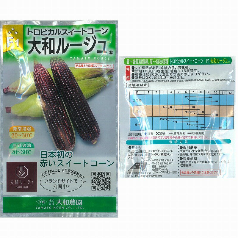 【トウモロコシ】F1 大和ルージュ[大和農園]/小袋（10ml）