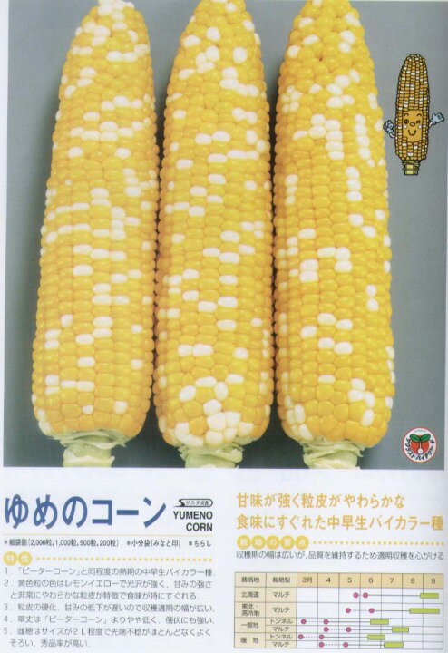 【トウモロコシ】ゆめのコーン〔サカタ交配〕/小袋（20ml）