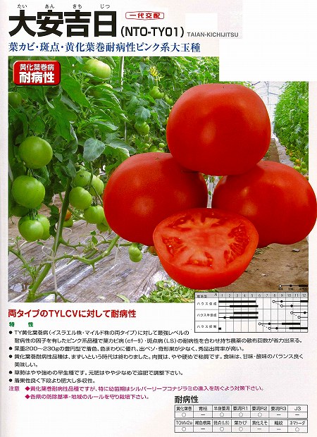 【トマト】大安吉日〔一代交配0494〕/小袋のサムネイル