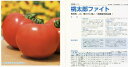 【トマト】桃太郎ファイト〔タキイ交配〕/小袋(16粒)