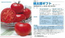 【トマト】桃太郎ギフト〔タキイ交配〕/50粒