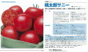 【トマト】桃太郎サニー〔タキイ交配〕(登録品種名:TTM011)/50粒