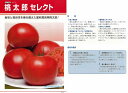 【トマト】桃太郎セレクト〔タキイ交配〕/1千粒