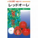 【トマト】レッドオーレ〔カネコ交配〕/小袋(13粒)