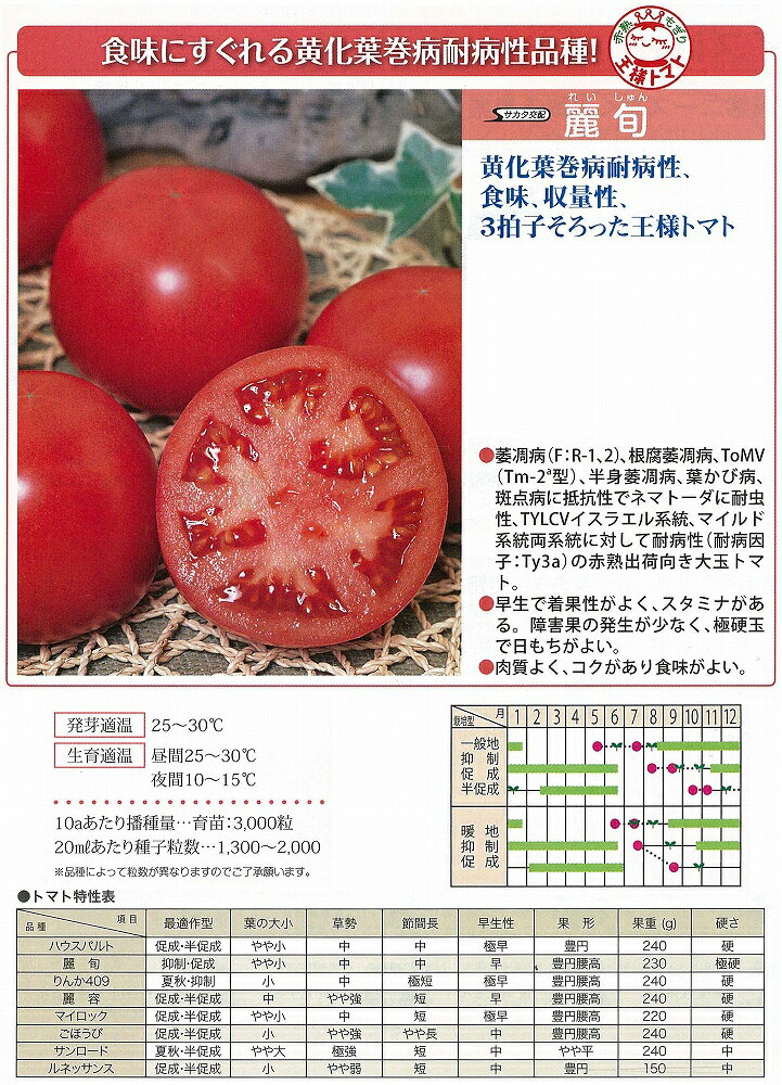 【トマト】麗旬〔サカタ交配〕/1000粒
