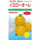 【トマト】イエローオーレ〔カネコ交配〕/小袋(14粒)