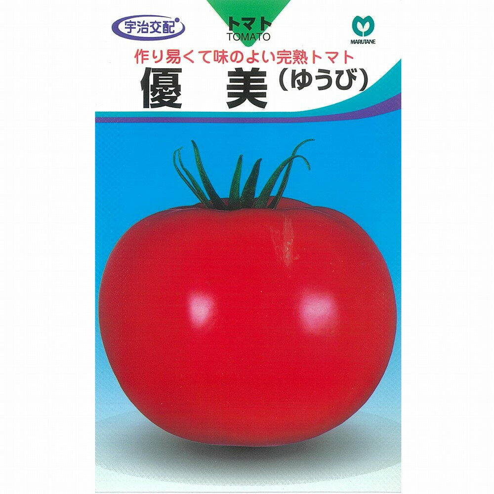 【トマト】優美（ゆうび）〔宇治交配〕/小袋
