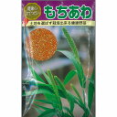 【特用作物】もちあわ〔固定種〕/10ml