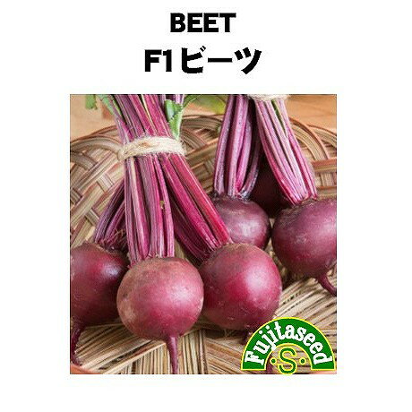 【世界の根菜】ビーツ/小袋（5ml）