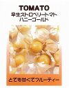 早生ストロベリートマト ハニーゴールド（食用ホオズキトマト）/小袋（約30粒）