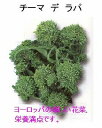 【世界の珍しい野菜】チーマ デ ラパ/小袋(1ml)