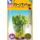 【スプラウト】もやし系 グリーンマッペ(緑豆)〔中原採種場〕/小袋(40ml)