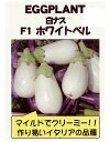 【世界の果菜】ナス 白ナス F1ホワイトベル/小袋