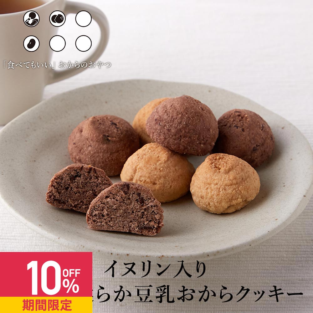 【クーポンで10%OFF】おからクッキー イヌリン ダイエット イヌリン入り ソフト 豆乳おからクッキー 500g 【チョコ オレンジ 2種ミックス しっとり ソフトタイプ 置き換えダイエット 訳アリ お菓子 食品】 送料無料