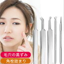 【15%OFFクーポン】角栓取り 毛穴ケア セット 角栓 ピンセット 毛穴 ピンセット 毛穴 黒ずみ 除去 毛穴ケア専用キット 角栓 スティック 鼻 角栓 除去...