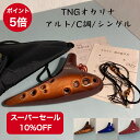 TNG TNG オカリナ 吹奏楽器 シングル アルト C管 C調 AC
