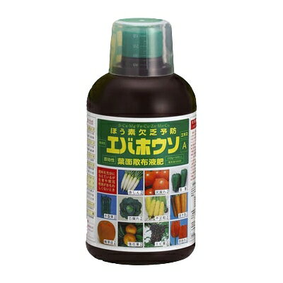 ΤƤȤ2Ź㤨֤ۤǷ˳ͽɡХۥA500ccפβǤʤ1,650ߤˤʤޤ