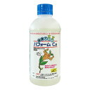 機能性カルシウム補給剤 パフォームCa 500ml