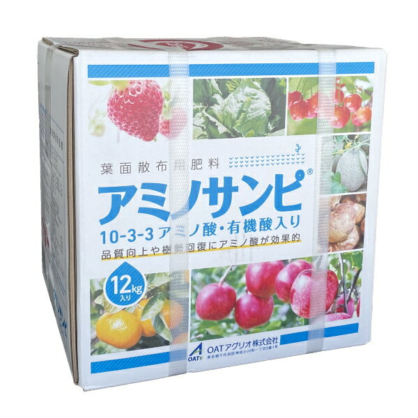 特徴 アミノサンピは、有機酸のキレート化作用で植物への養分吸収を助けます。 またアミノ酸は、作物を健全に保ち、日照不足や低温に強い作物作りに有効です。 ■幅広い作物に使用でき、植物に必要な養分を補給できます。 ■有機酸のキレート化作用で作物への養分吸収を助けます。 ■アミノ酸の効果で品質向上や樹勢回復が期待でき、ストレス環境下では直接的な栄養源として働きます。 ■展着剤が添加されていますので、散布時に展着剤を加える必要はありません。 成分 ●保証成分 ・窒素(N)　10.0 ・リン酸(P)　3.0 ・加里(K)　3.0 ・苦土　2.0 ・マンガン　1.00 ・ホウ素　0.50 ●配合成分 ・カルシウム(Ca) ・鉄　0.4 ・銅　0.05 ・亜鉛　0.05 ・モリブデン　0.10 内容量 12kg メーカー OATアグリオ 注意事項 ※アルカリ性資材とは混用しないでください。 ※静置すると有機成分由来の沈殿が発生することがありますので、よく振って内容物を均一にしてからご使用ください。 ※他の肥料との混用は、沈殿や結晶が発生しない場合でのみご使用ください。 ※希釈液は腐敗しやすいため、その日のうちに使い切ってください。 ※なしへの使用はさけてください。 ※ご使用の前に製品のラベルをよくお読みいただき、適切な方法でご使用ください。 ※リニューアルに伴い、パッケージ・内容等予告なく変更する場合がございます。予めご了承ください。