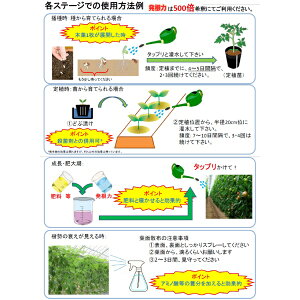 根の発根・活着保護剤　発根力　10L（北海道・沖縄発送不可）