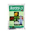 カリグリーン水溶剤 250g ※2個までネコポス発送可