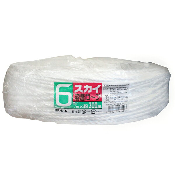 Rakuten - スカイ溶着ロープ　6mm × 300m