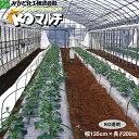 みかど化工 KOマルチ 透明(KON) 厚み0.02mm 幅135cm×長さ200m 無孔 5本セット (離島・北海道・沖縄発送不可)