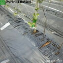 みかど化工 メデルシート M370B 黒 幅135cm×長さ100m メデル幅70cm 条播/点播(シードテープ)/散播 黒マルチ トンネル内マルチに最適 (離...