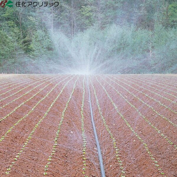 商品特徴 最大20mの飛び幅、スミレイン40やスミサンスイR露地ワイドより広い面積を潅水できます “やわらかい雨”のような散水で土の跳ね返りがなく、やさしく作物全体を濡らします。 ●スミレイン50の散水幅は最大20m。畑全体をムラなく均一に潅水できます。 ●奥行100mまで均一に潅水できます。 ●補強材入り特殊黒色ポリエチレンを使用し、当社品で最も優れた耐久性があります。 ●専用の巻取機(別売)を使用して、敷設・収納・移動が簡単にできます。 商品名 スミレイン50 仕様 ■長さ：　100m巻 ■ホース相当径：　52mm ■折径：　92mm ■使用圧力範囲：　0.10～0.25MPa ■散水幅：　～20m ■散水量：～3.40L/分・m ■長尺均一性：　100m ■材質：　補強材入り黒色特殊ポリエチレン ■推奨フィルターメッシュ：　80メッシュ以上 用途 ・ニンジン、ダイコン、ゴボウ、サツマイモ、ジャガイモ、ホウレンソウ、コマツナ、白ネギ、レタス、キャベツ、ハクサイ、ブロッコリーなど葉菜類・根菜類 ・露地野菜全般 ・グラウンド/ゴルフ場などの芝生 メーカー 住化アグリテック 備考 ※メーカー在庫切れの場合が稀にございます。その際は納期にお時間をいただくこととなります。 ※改良やリニューアルに伴い、パッケージ・内容等予告なく変更する場合がございます。予めご了承ください。