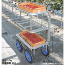 HARAX ハラックス 愛菜号 SW-312 アルミ製 いちご収穫用ワゴン 3段タイプ 最大使用荷重30kg 運搬車