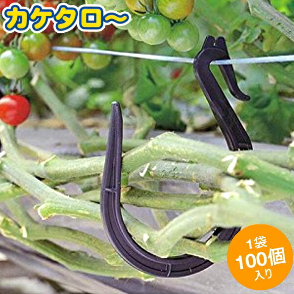 シーム　カケタロー　100個入　茎整理・病気対策フック