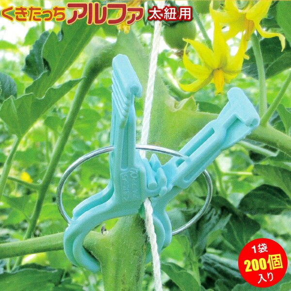 シーム　くきたっちアルファF　太紐用　AF-BL200　200個入