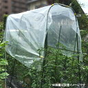 菜園用　雨よけセットD　1.9m×3m　トマト　野菜　雨よけシートセット　（離島・北海道・沖縄発送不可）
