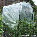 菜園用 雨よけセット 1m×2.1m/1.9m×2.1m/1m×3m/1.9m×3m トマト 野菜 雨よけシートセット