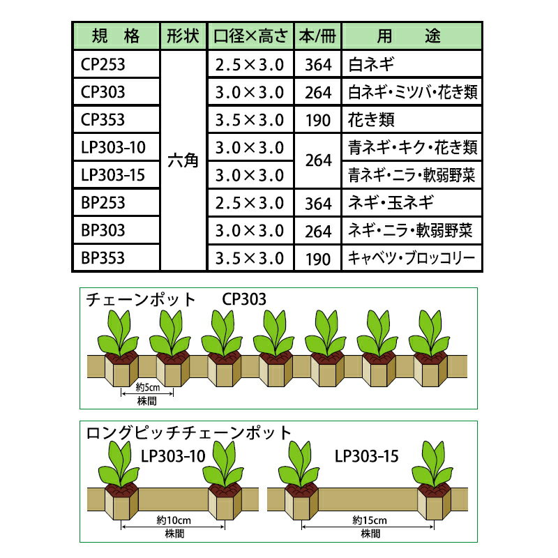 ニッテン　チェーンポット　CP303　径3cm×高3cm　株間5cm　穴数264　1冊　白ネギ ミツバ 花き類