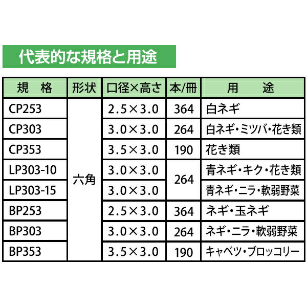 �˥åƥ󡡥��󥰥ԥå���������ݥåȡ�LP303-10����3cm�߹�3cm������10cm�����264�������ʥ���������75�����ꡡ�ĥͥ� ���� �֤���