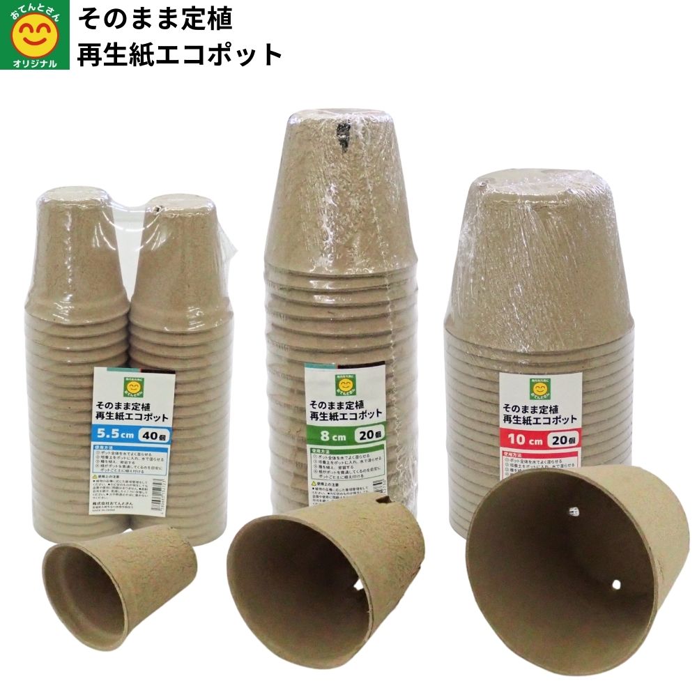 Rakuten - そのまま定植　再生紙エコポット　5.5cm/8.0cm/10.0cm