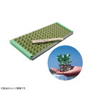 ニッテン　ペーパーポット　No.5　5号　径5cm×高7.5cm　四角　穴数420　長尺タイプ　お得なケース販売45冊入り　エンドウ 白菜 春菊