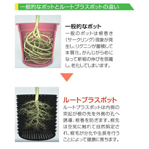 ルートプラスポット　GS-AP350S　28L　果樹 観葉植物 多肉植物 緑化樹栽培　根巻き...