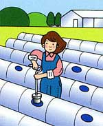 ������ʪ����ꡡ�ݥ�ݥ󥫥å��������80mm