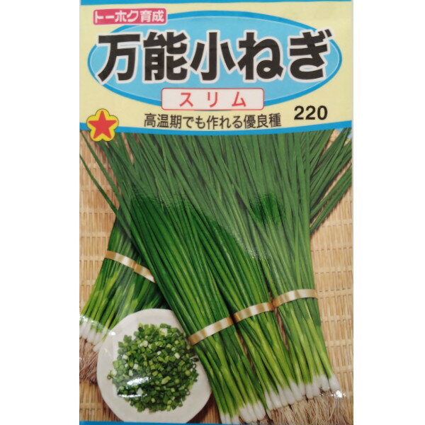 【メール便可 10個まで】ネギ　万能小ねぎ　スリム【トーホク】のサムネイル