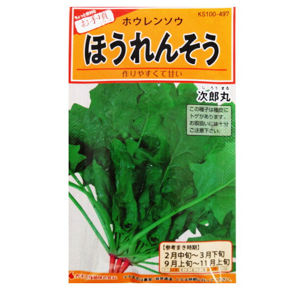 【ネコポス可 10個まで】ホウレンソウ　次郎丸【カネコ種苗】