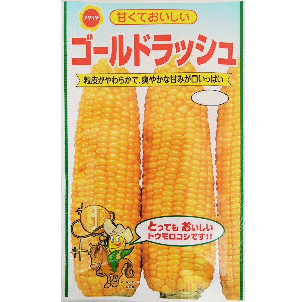【ネコポス可 6個まで】トウモロコシ　ゴールドラッシュ【アタリヤ】
